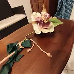 Fairytale - La Corte Hébergement de vacances